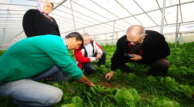 İBB’den organik tarıma destek