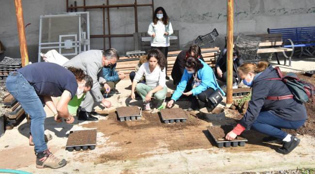 Yaz sebzelerinin tohumları toprakla buluştu