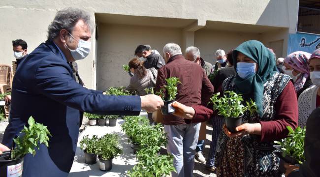 Bornova’da hedef 100 bin fidan 