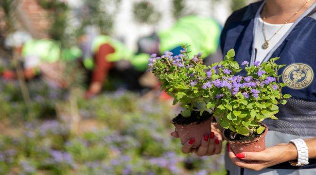 Buca’nın caddeleri çiçek açtı