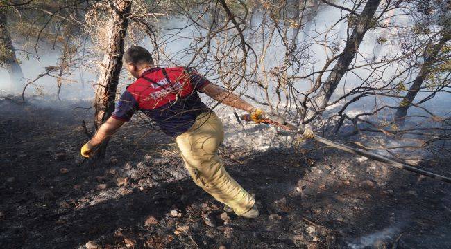  Urla'da Çıkan Yangına Müdahale Sürüyor