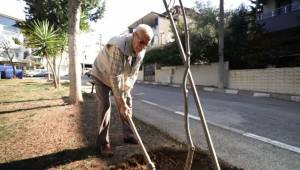 Yeşil İnsanların Ruhudur