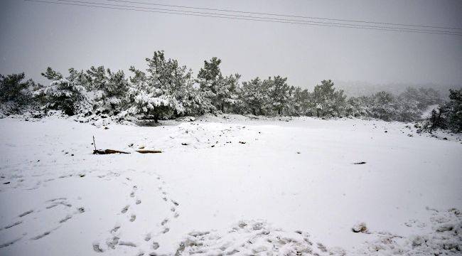 Bornova'da mevsimin ilk karı